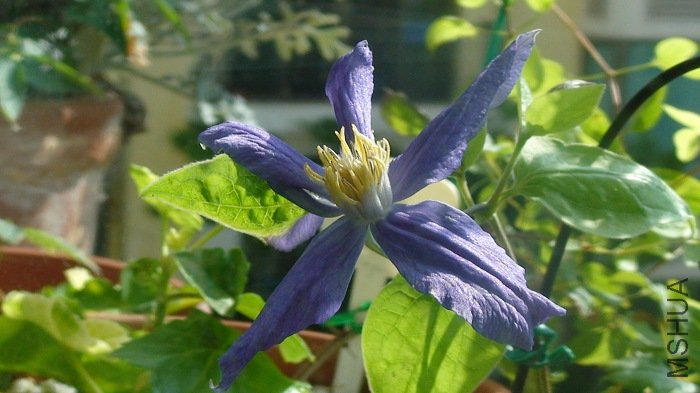 7-17��, �������ȿ���, ������Ķ���!