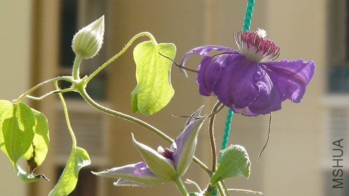 7-17��, �ײ������ĵڶ���, ����������������������!