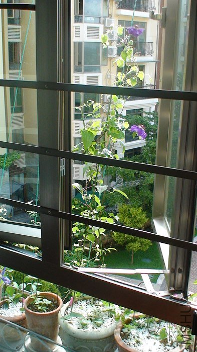 �������ȫ����! �����Ѿ��ܸ���! �⻹�����ų���, ���Ѿ�1.5�׸���! ��ֱ�������! ���Ǳ߿����߳����Ӱ�! ...