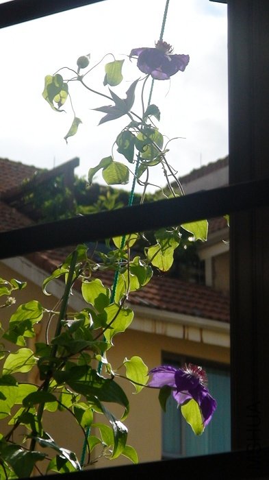 ��̨�ϲ�̫����, ֻ����������ȫһ��. �����ſ������Կ���: ���䶼��С��!