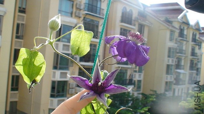 �����¿����������������!�ٹ���Сʱ, ����һ�򿪾ͻ����Ա��Ƕ�һ������, ���ÿ�, ֻ�еڶ��컨��Żᾫ ...