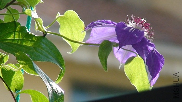 �������һ��, ����ǵڶ��������, ������! �����������ʱ��������̬, ��������Ʒ��һ��, һ��Ҳ��һ���� ...