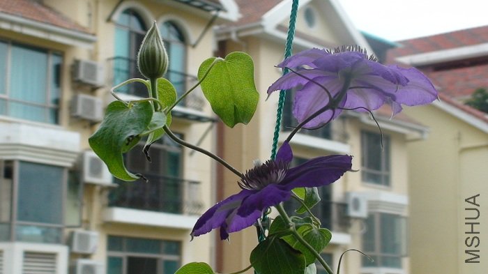 ������ƽʱ����������, �е������! ϲ������ı��������, �������¸���ζ��!