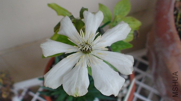 ����дһ�¿���!