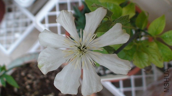 �����Ѿ���ʼ���������Ҳ��л��.