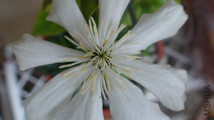 ����Ҳ�Ѿ�ɢ��, ���ڿ�������, ����֪���Ѿ���......