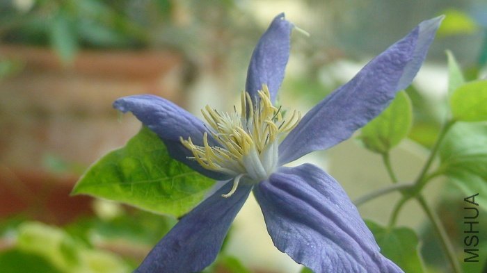 7-18��, ������Ķ���.