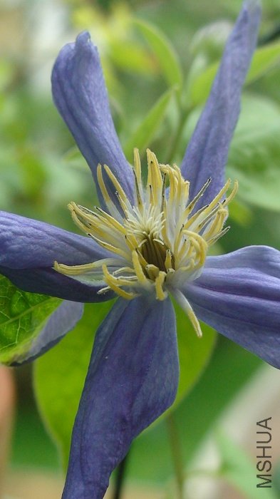 ����������Ч������һЩ!