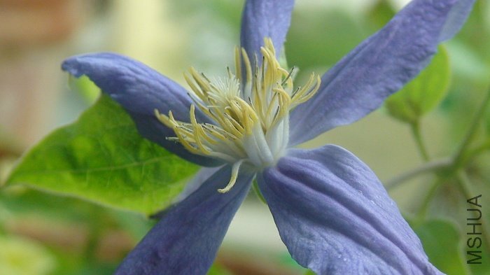 �������������д��! ��ͬ�ĽǶȲ�̫һ����!