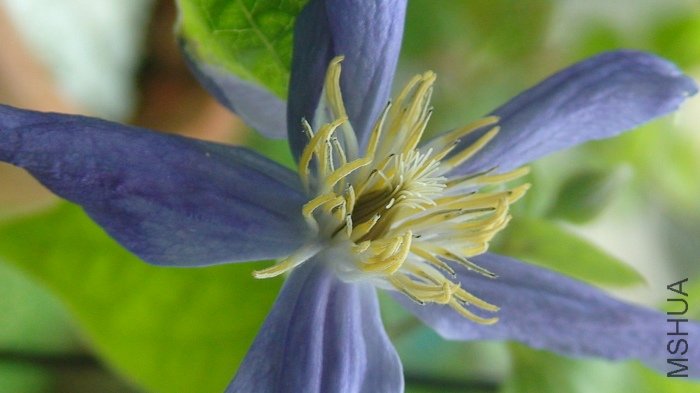 ��һ�ǶȵĻ���!