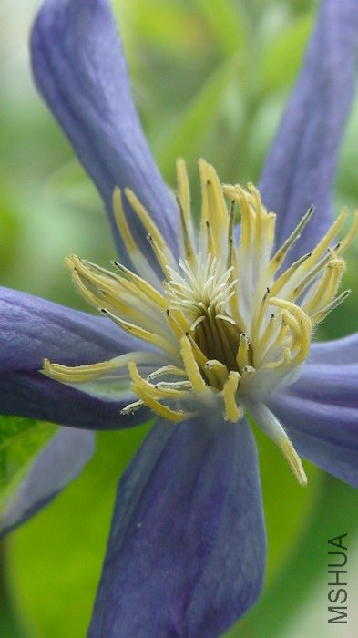 ���������������д!