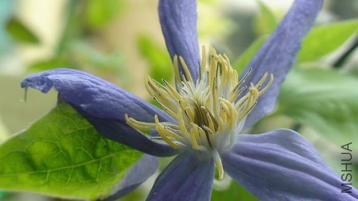 ����дһ�£�����Ҳ�Ѿ�ɢ��.