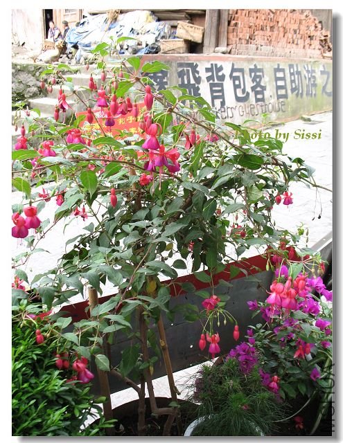 ��ջ��ǰ�������Լ��ֵĵ����ӣ�����Ҷï~