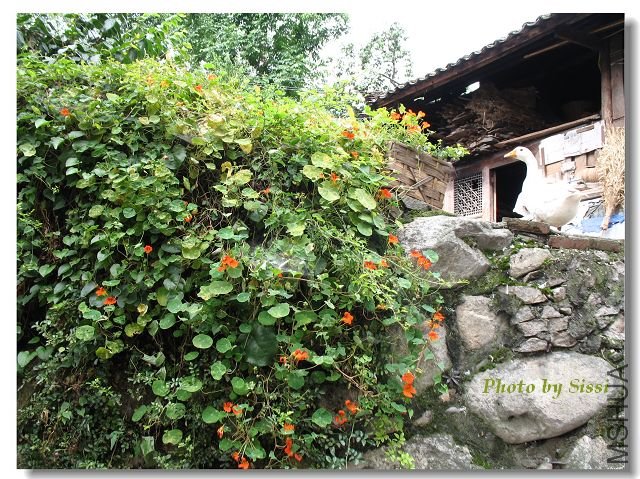 ��ջ�����˼��ֵĺ������ٲ���׳��ѽ~