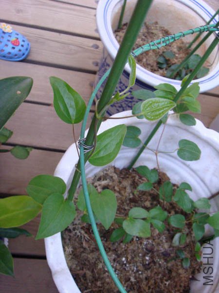 �����������һ��