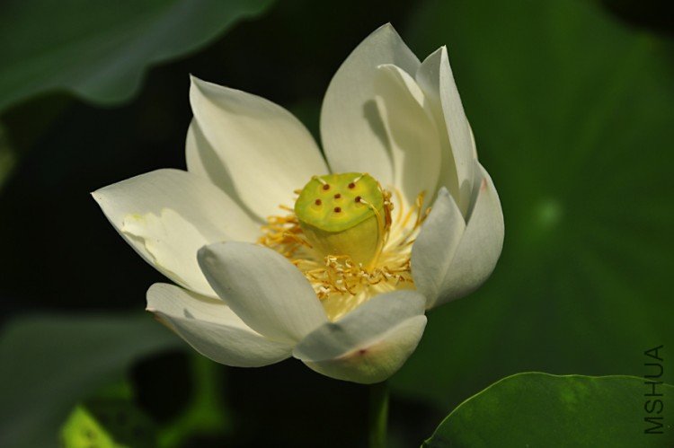 _DSC0061-.jpg