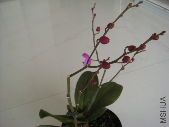 DSC00553.JPG