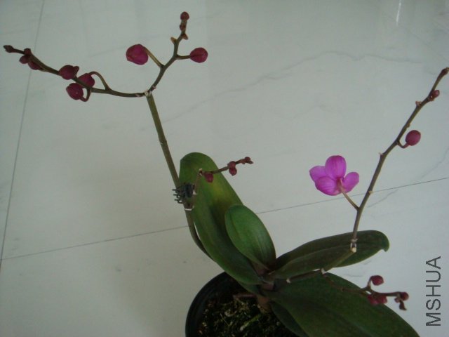 DSC00555.JPG