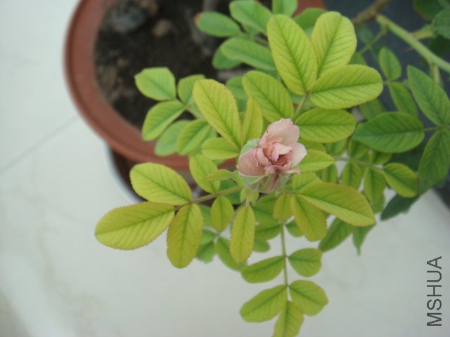 DSC00559.JPG