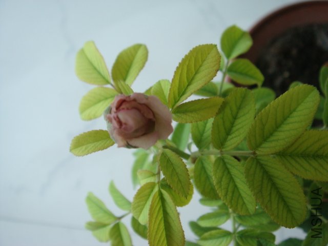 DSC00580.JPG