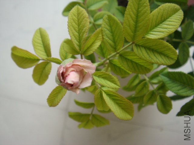 DSC00583.JPG