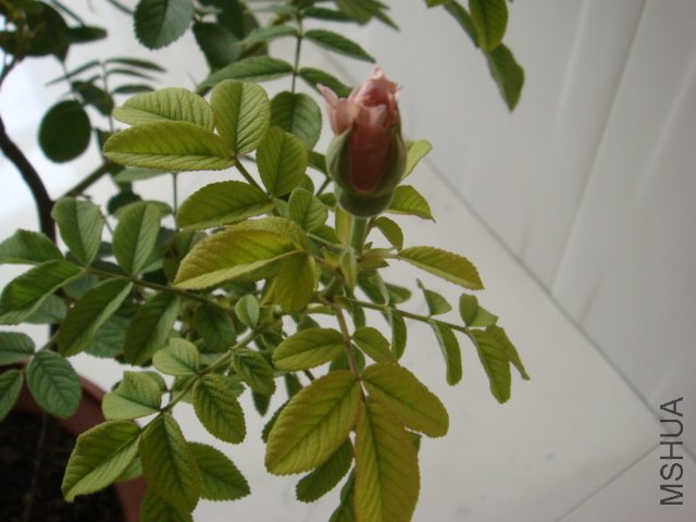 DSC00581.JPG