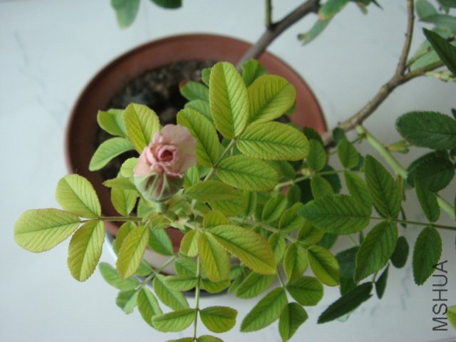 DSC00579.JPG