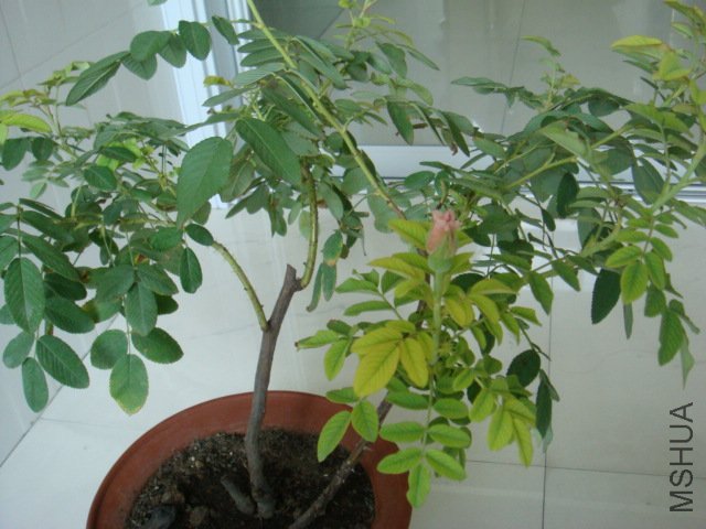 DSC00585.JPG