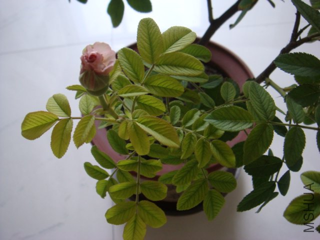 DSC00582.JPG