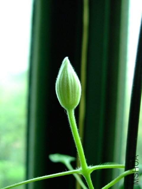 DSCF1925.JPG