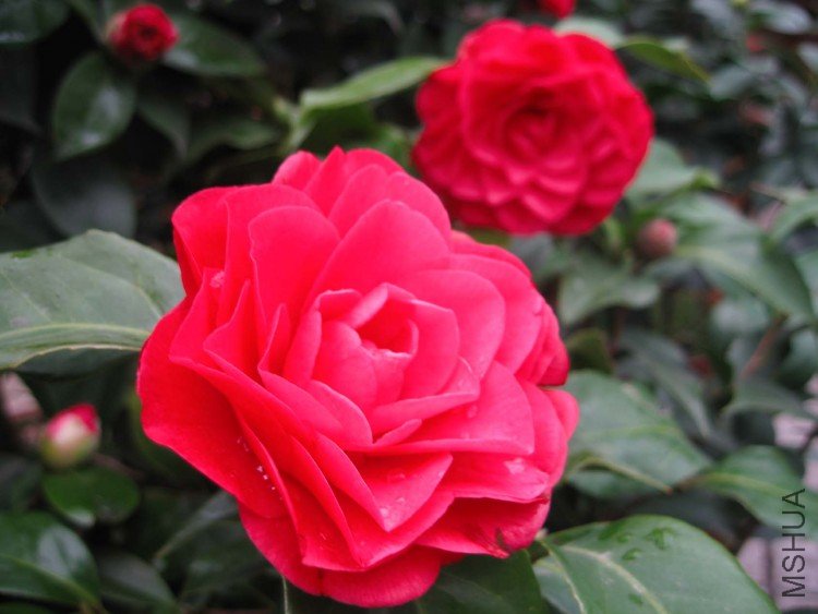 ���Ǵ�� 09-3-3.jpg