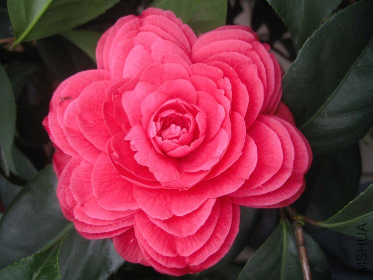 ���Ǵ�� 09-4-3(1).jpg