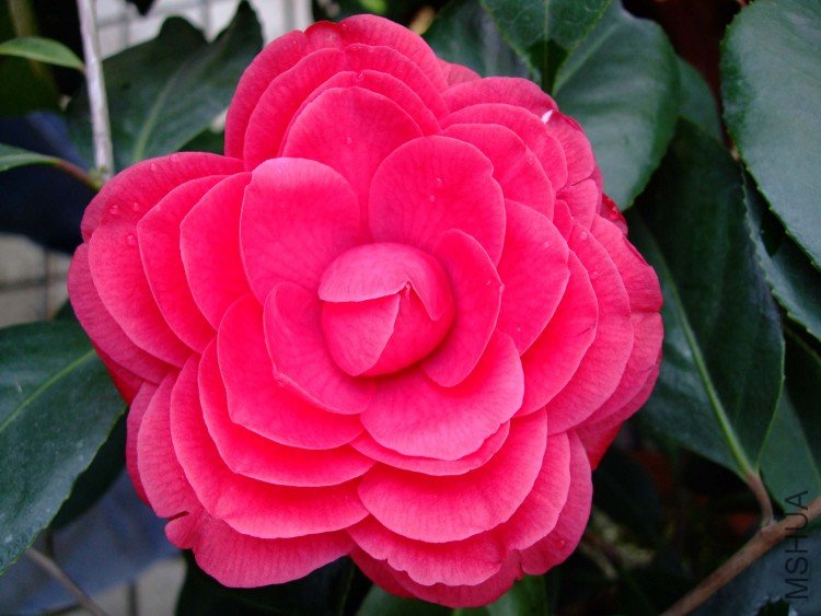 ���Ǵ�� 09-4-1(3).jpg