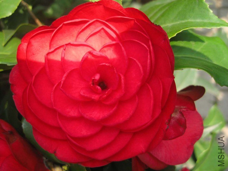 �൤ 09-4-7 (2).jpg