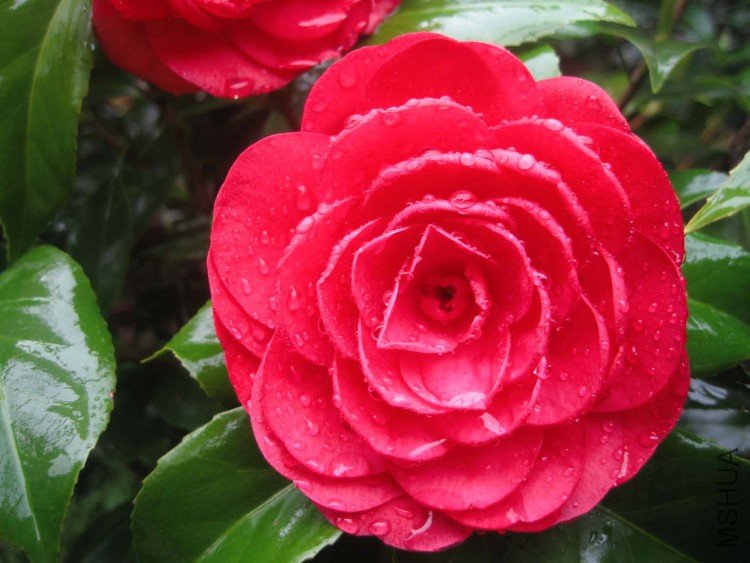 �൤ 09-4-4(1).jpg