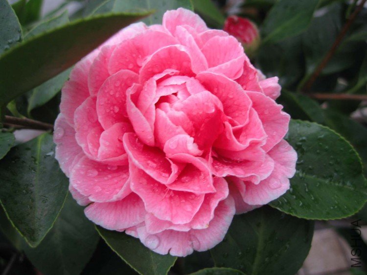 ԧ���� 09-2-26 (1).jpg