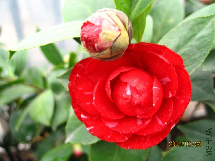 ԧ���� 09-2-24.jpg