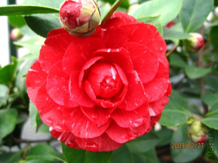 ԧ���� 09-2-27  (1).jpg