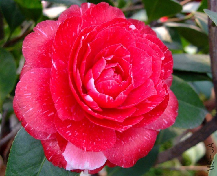 ԧ���� 09-3-31 (9).jpg