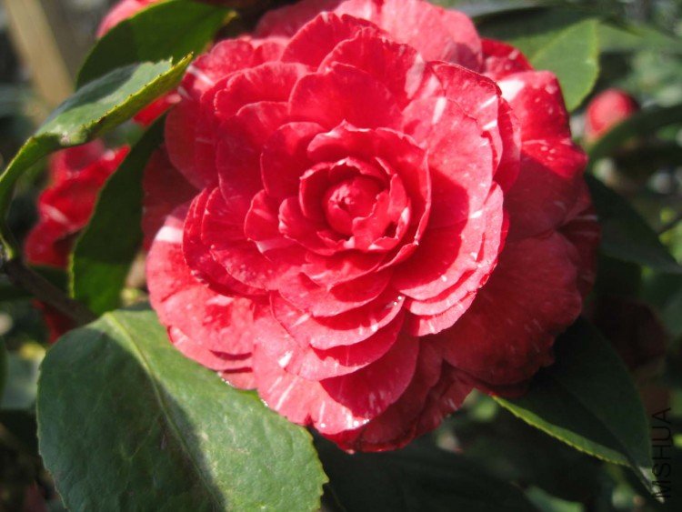 ԧ���� 09-4-5 (1).jpg