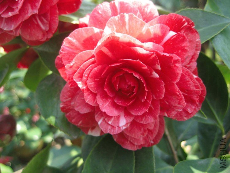 ԧ���� 09-4-5 (3).jpg