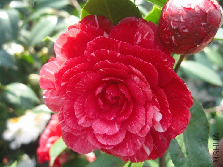 ԧ���� 09-4-5 (2).jpg