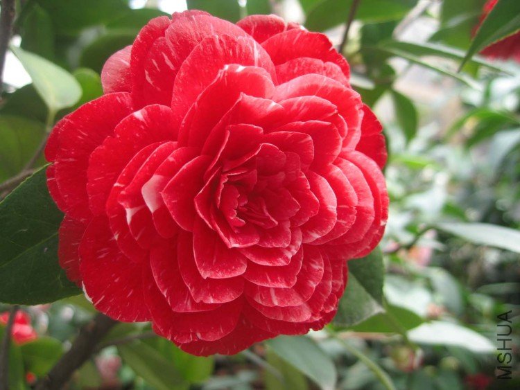 ԧ���� 09-4-3(11).jpg