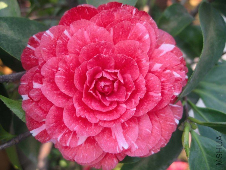 ԧ���� 09-4-9(12).jpg