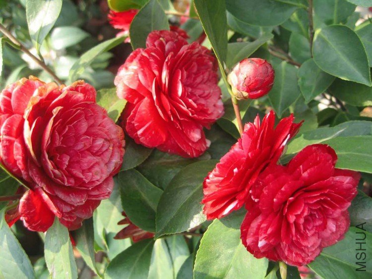 ԧ���� 09-4-8 (10).jpg