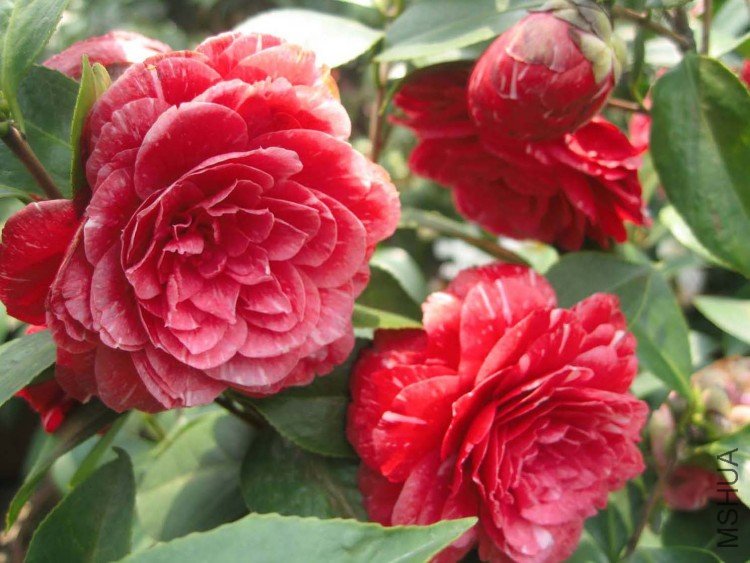 ԧ���� 09-4-6 (2).jpg