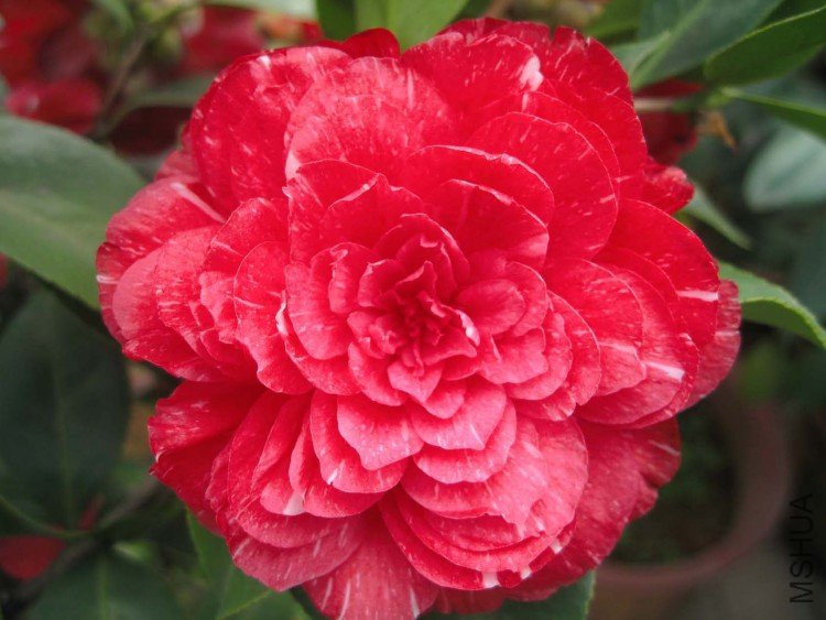 ԧ���� 09-4-8 (1).jpg