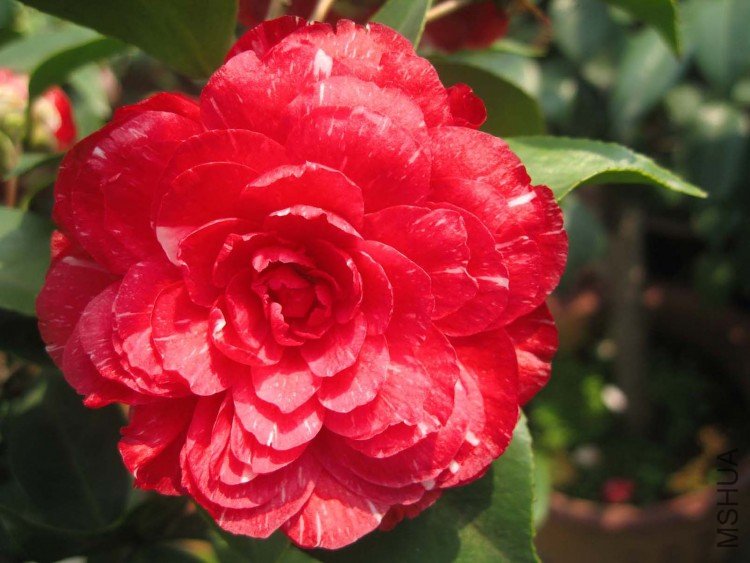 ԧ���� 09-4-6(1).jpg