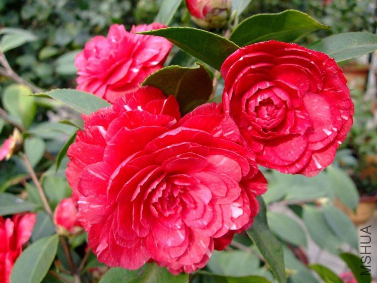 ԧ���� 09-4-7 (2).jpg