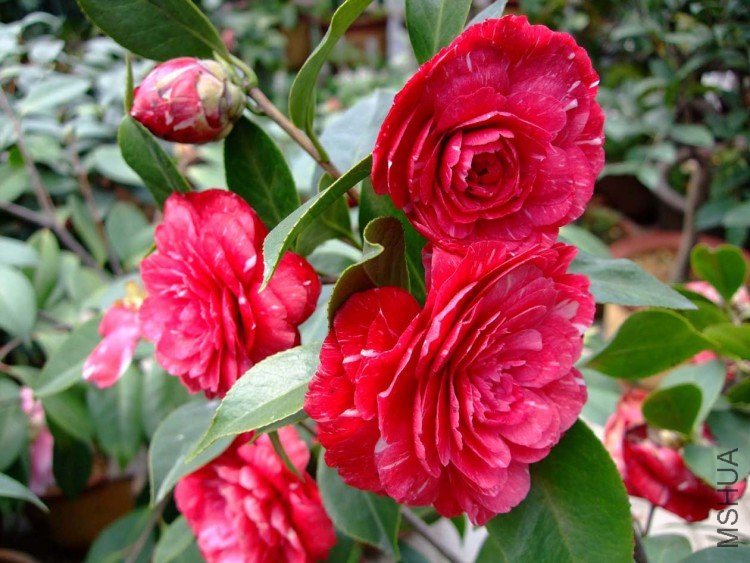 ԧ���� 09-4-7(12).jpg